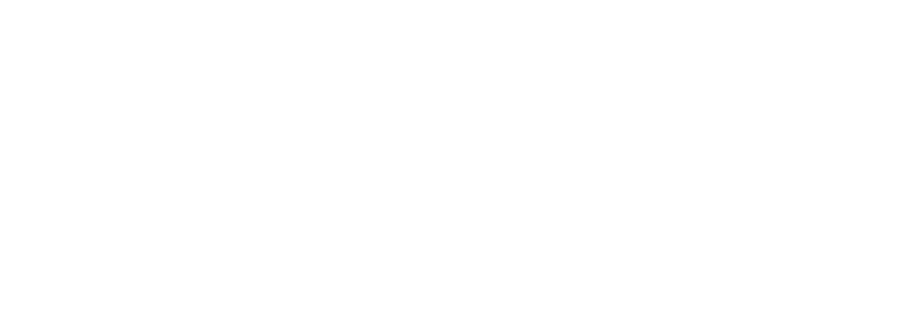 Donnie Johnson's Crappie Guide Service White Logo